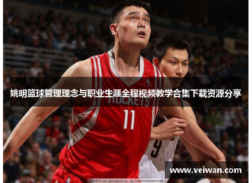 姚明篮球管理理念与职业生涯全程视频教学合集下载资源分享