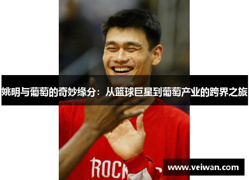 姚明与葡萄的奇妙缘分：从篮球巨星到葡萄产业的跨界之旅