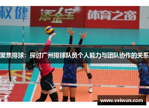 聚焦排球：探讨广州排球队员个人能力与团队协作的关系