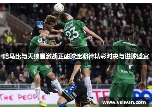 哈马比与天狼星激战正酣球迷期待精彩对决与进球盛宴